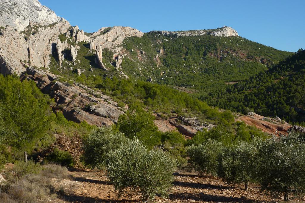 La Ferme Bed & Breakfast Saint-Marc-Jaumegarde Екстериор снимка